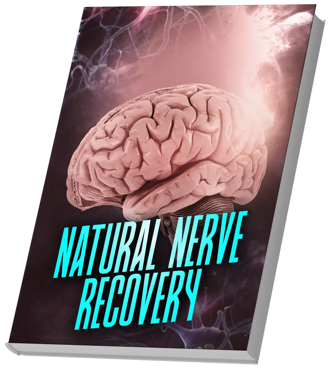 Nervion Free Bonus 2